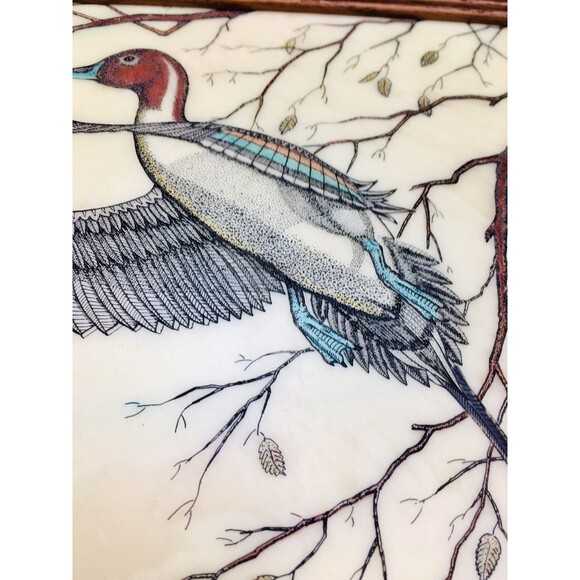 Vintage Mallard Duck In Flight With Tree Branches & Leaves Marble Etching Signed - Picture 5 of 7